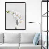 Shop White Orchid Stems Canvas Print a floral themed painted framed canvas wall art print from The Print Emporium artwork collection - Buy Australian made fine art painting style stretched canvas prints for the home and your interior decor space, TPE-281-CA-35X46-NF
