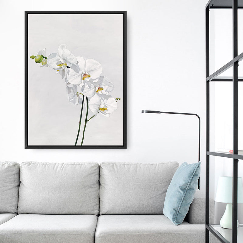 Shop White Orchid Stems Canvas Print a floral themed painted framed canvas wall art print from The Print Emporium artwork collection - Buy Australian made fine art painting style stretched canvas prints for the home and your interior decor space, TPE-281-CA-35X46-NF