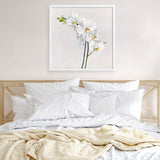 Shop White Orchid Stems (Square) Art Print a floral themed painted wall art print from The Print Emporium wall artwork collection - Buy Australian made fine art painting style poster and framed prints for the home and your interior decor room, TPE-186-AP