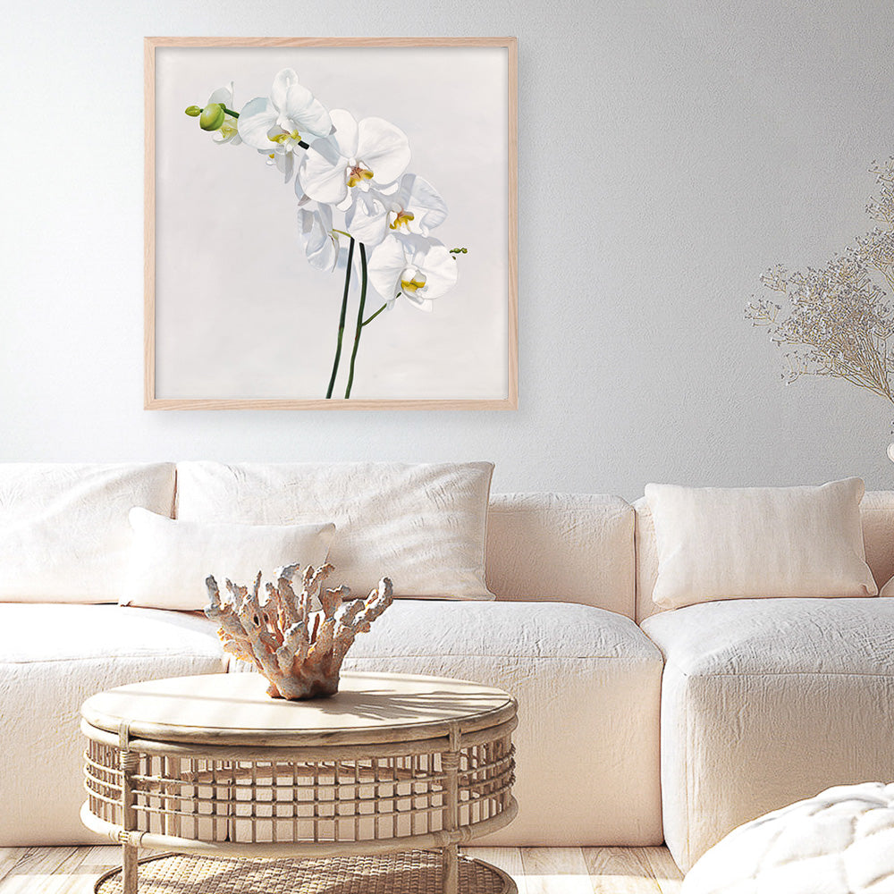 Shop White Orchid Stems (Square) Art Print a floral themed painted wall art print from The Print Emporium wall artwork collection - Buy Australian made fine art painting style poster and framed prints for the home and your interior decor room, TPE-186-AP