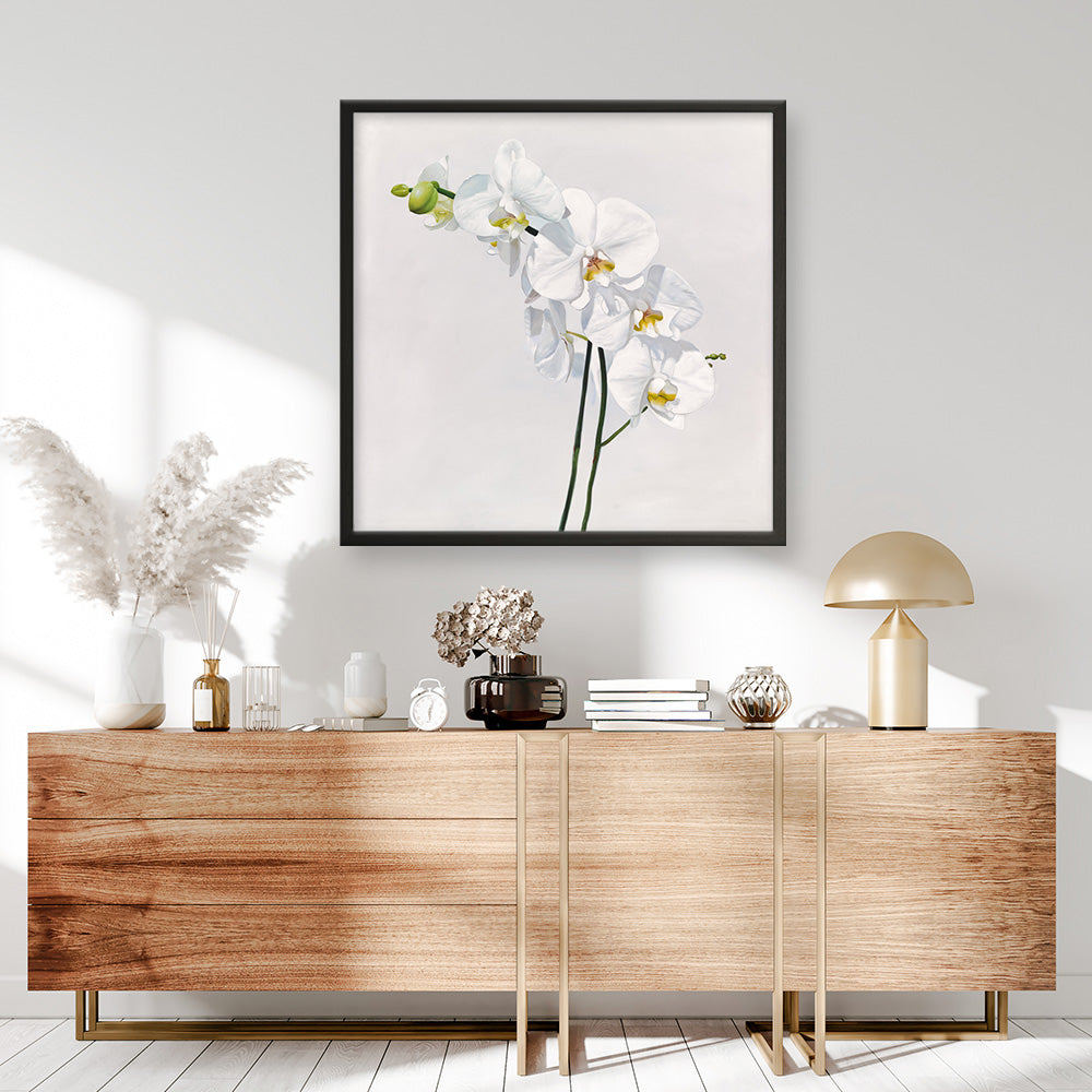 Shop White Orchid Stems (Square) Art Print a floral themed painted wall art print from The Print Emporium wall artwork collection - Buy Australian made fine art painting style poster and framed prints for the home and your interior decor room, TPE-186-AP