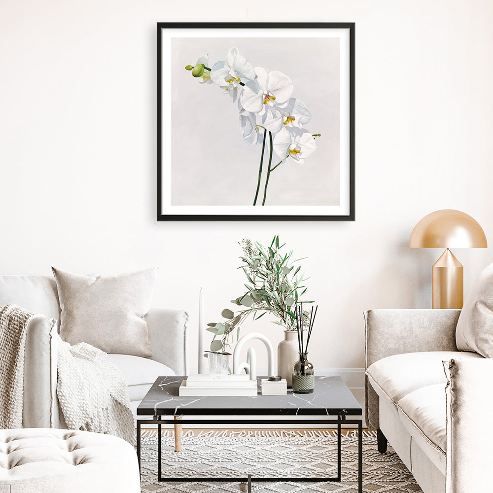 Shop White Orchid Stems (Square) Art Print a floral themed painted wall art print from The Print Emporium wall artwork collection - Buy Australian made fine art painting style poster and framed prints for the home and your interior decor room, TPE-186-AP