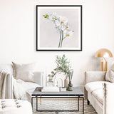 Shop White Orchid Stems (Square) Art Print a floral themed painted wall art print from The Print Emporium wall artwork collection - Buy Australian made fine art painting style poster and framed prints for the home and your interior decor room, TPE-186-AP