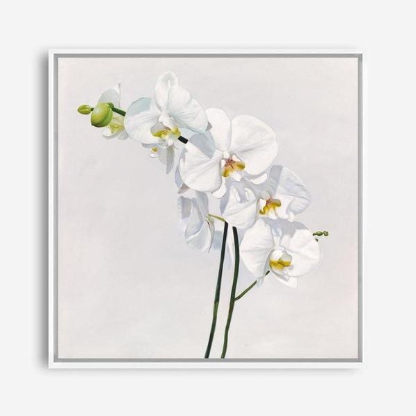 Shop White Orchid Stems (Square) Canvas Print a floral themed painted framed canvas wall art print from The Print Emporium artwork collection - Buy Australian made fine art painting style stretched canvas prints for the home and your interior decor space, TPE-186-CA-40X40-NF