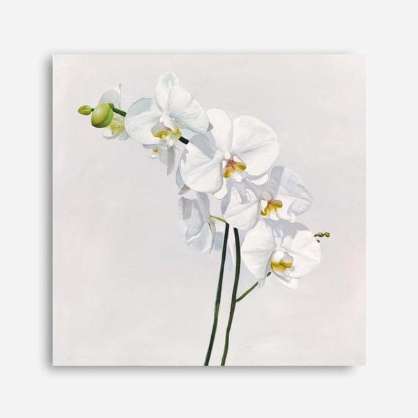 Shop White Orchid Stems (Square) Canvas Print a floral themed painted framed canvas wall art print from The Print Emporium artwork collection - Buy Australian made fine art painting style stretched canvas prints for the home and your interior decor space, TPE-186-CA-40X40-NF