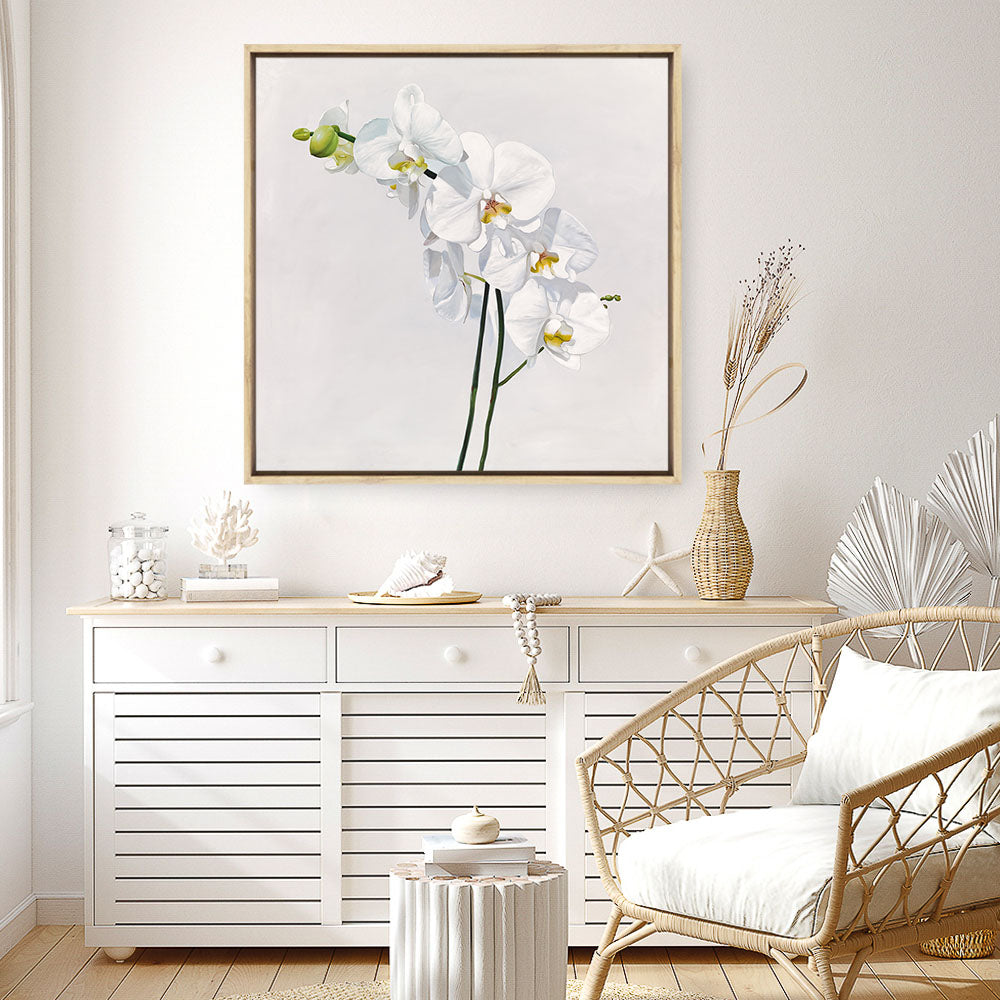 Shop White Orchid Stems (Square) Canvas Print a floral themed painted framed canvas wall art print from The Print Emporium artwork collection - Buy Australian made fine art painting style stretched canvas prints for the home and your interior decor space, TPE-186-CA-40X40-NF