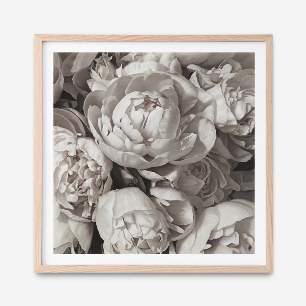Shop White Peony Buds (Square) Art Print a floral themed painted wall art print from The Print Emporium wall artwork collection - Buy Australian made fine art painting style poster and framed prints for the home and your interior decor room, TPE-384-AP