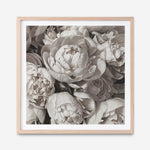 Shop White Peony Buds (Square) Art Print a floral themed painted wall art print from The Print Emporium wall artwork collection - Buy Australian made fine art painting style poster and framed prints for the home and your interior decor room, TPE-384-AP