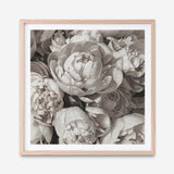Shop White Peony Buds (Square) Art Print a floral themed painted wall art print from The Print Emporium wall artwork collection - Buy Australian made fine art painting style poster and framed prints for the home and your interior decor room, TPE-384-AP
