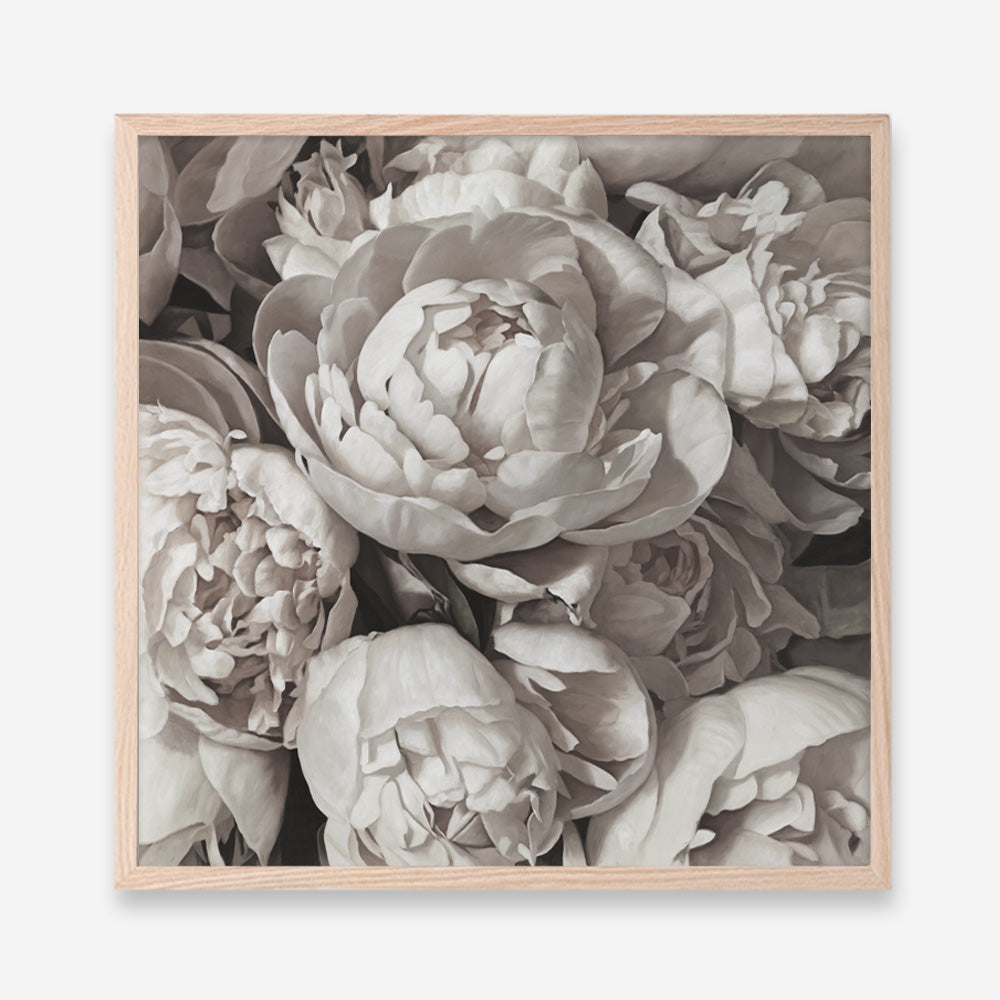 Shop White Peony Buds (Square) Art Print a floral themed painted wall art print from The Print Emporium wall artwork collection - Buy Australian made fine art painting style poster and framed prints for the home and your interior decor room, TPE-384-AP