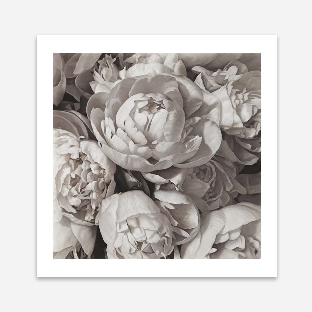 Shop White Peony Buds (Square) Art Print a floral themed painted wall art print from The Print Emporium wall artwork collection - Buy Australian made fine art painting style poster and framed prints for the home and your interior decor room, TPE-384-AP