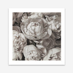 Shop White Peony Buds (Square) Art Print a floral themed painted wall art print from The Print Emporium wall artwork collection - Buy Australian made fine art painting style poster and framed prints for the home and your interior decor room, TPE-384-AP