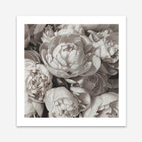 Shop White Peony Buds (Square) Art Print a floral themed painted wall art print from The Print Emporium wall artwork collection - Buy Australian made fine art painting style poster and framed prints for the home and your interior decor room, TPE-384-AP