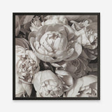 Shop White Peony Buds (Square) Art Print a floral themed painted wall art print from The Print Emporium wall artwork collection - Buy Australian made fine art painting style poster and framed prints for the home and your interior decor room, TPE-384-AP