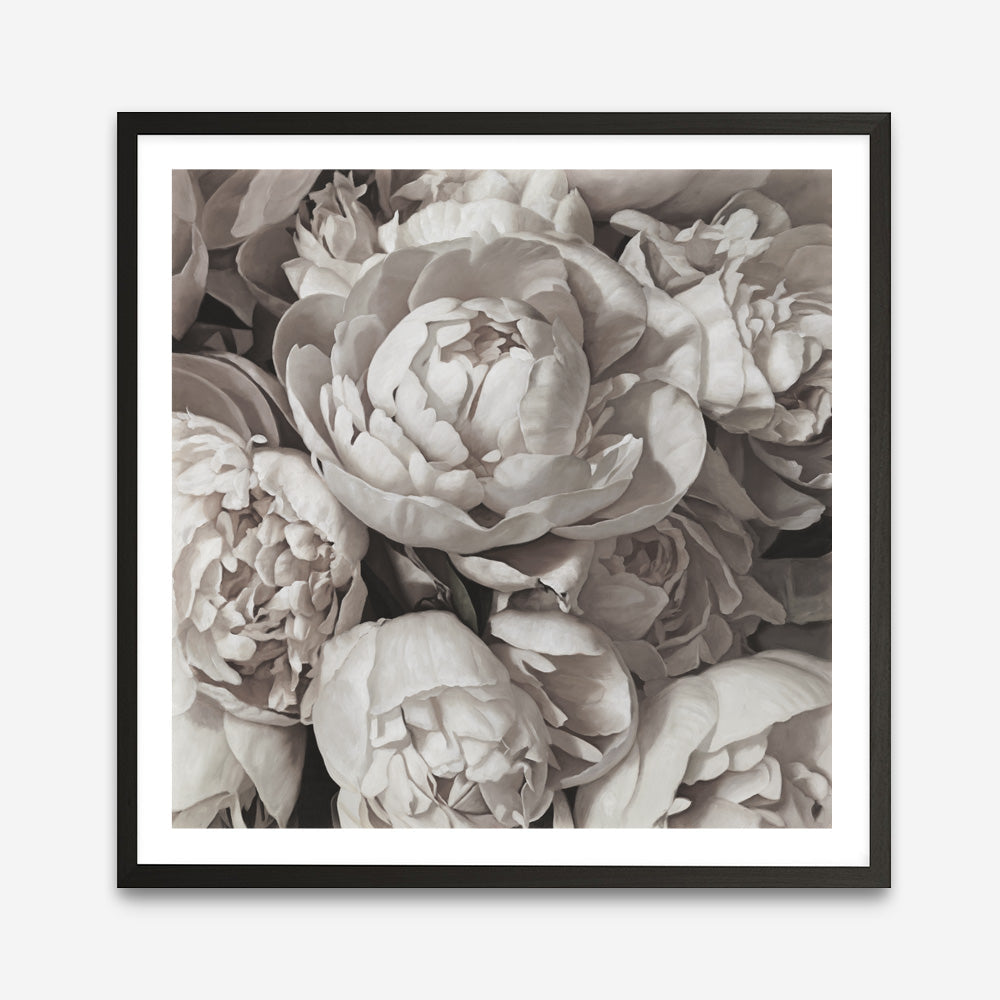 Shop White Peony Buds (Square) Art Print a floral themed painted wall art print from The Print Emporium wall artwork collection - Buy Australian made fine art painting style poster and framed prints for the home and your interior decor room, TPE-384-AP