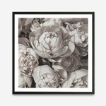 Shop White Peony Buds (Square) Art Print a floral themed painted wall art print from The Print Emporium wall artwork collection - Buy Australian made fine art painting style poster and framed prints for the home and your interior decor room, TPE-384-AP