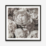 Shop White Peony Buds (Square) Art Print a floral themed painted wall art print from The Print Emporium wall artwork collection - Buy Australian made fine art painting style poster and framed prints for the home and your interior decor room, TPE-384-AP