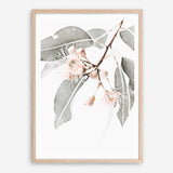 Shop Wildflowers II Photo Art Print a floral themed photography wall art print from The Print Emporium wall artwork collection - Buy Australian made fine art poster and framed prints for the home and your interior decor room, TPE-597-AP