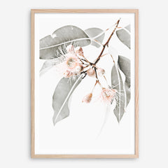 Shop Wildflowers II Photo Art Print a floral themed photography wall art print from The Print Emporium wall artwork collection - Buy Australian made fine art poster and framed prints for the home and your interior decor room, TPE-597-AP