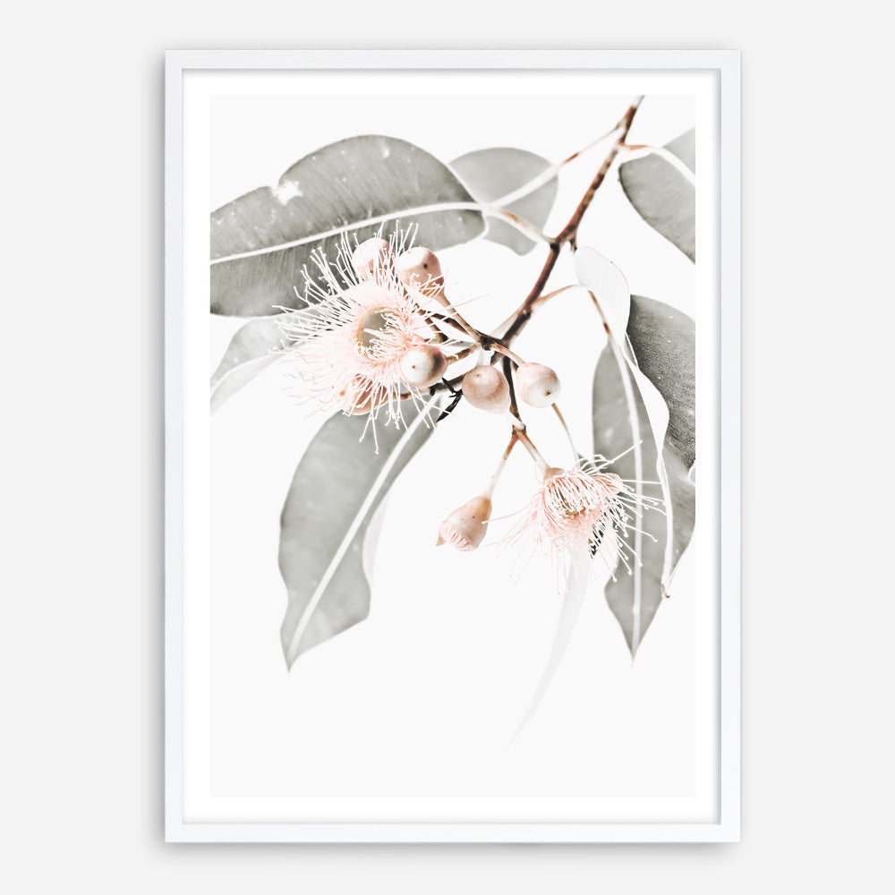 Shop Wildflowers II Photo Art Print a floral themed photography wall art print from The Print Emporium wall artwork collection - Buy Australian made fine art poster and framed prints for the home and your interior decor room, TPE-597-AP