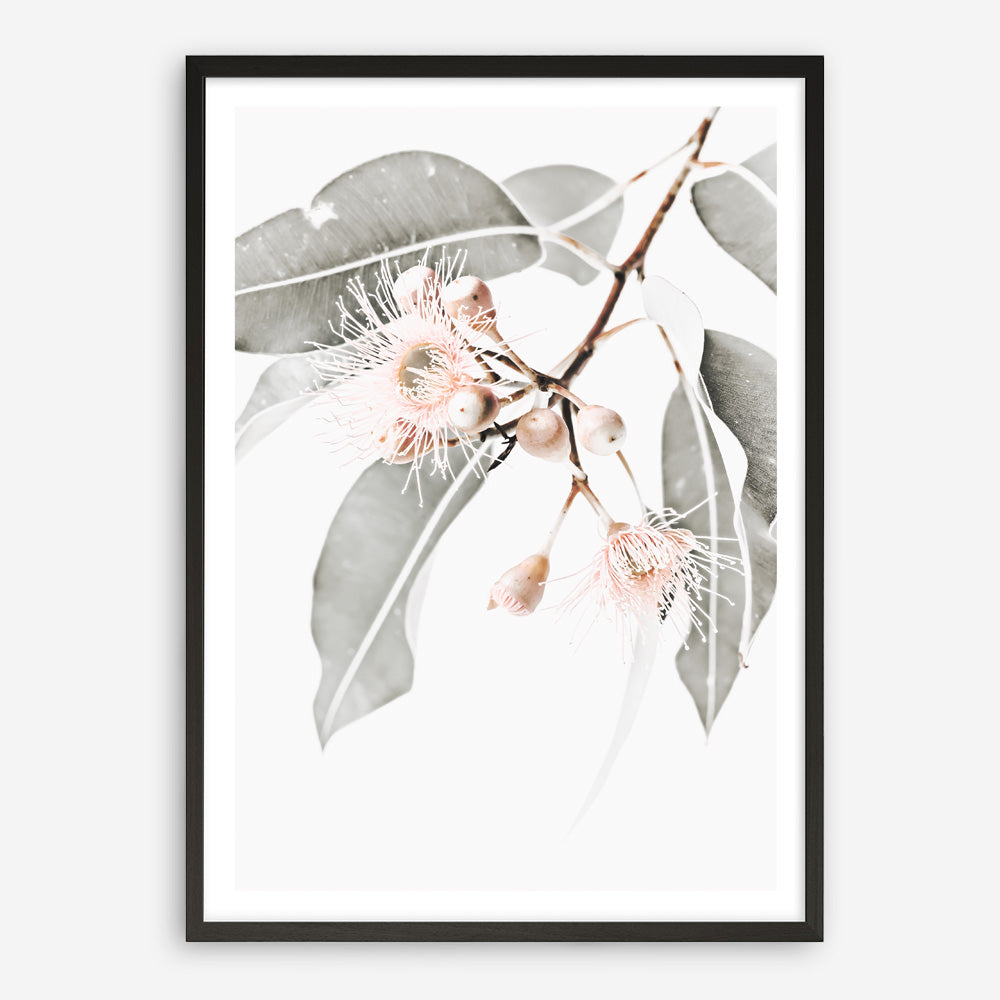 Shop Wildflowers II Photo Art Print a floral themed photography wall art print from The Print Emporium wall artwork collection - Buy Australian made fine art poster and framed prints for the home and your interior decor room, TPE-597-AP