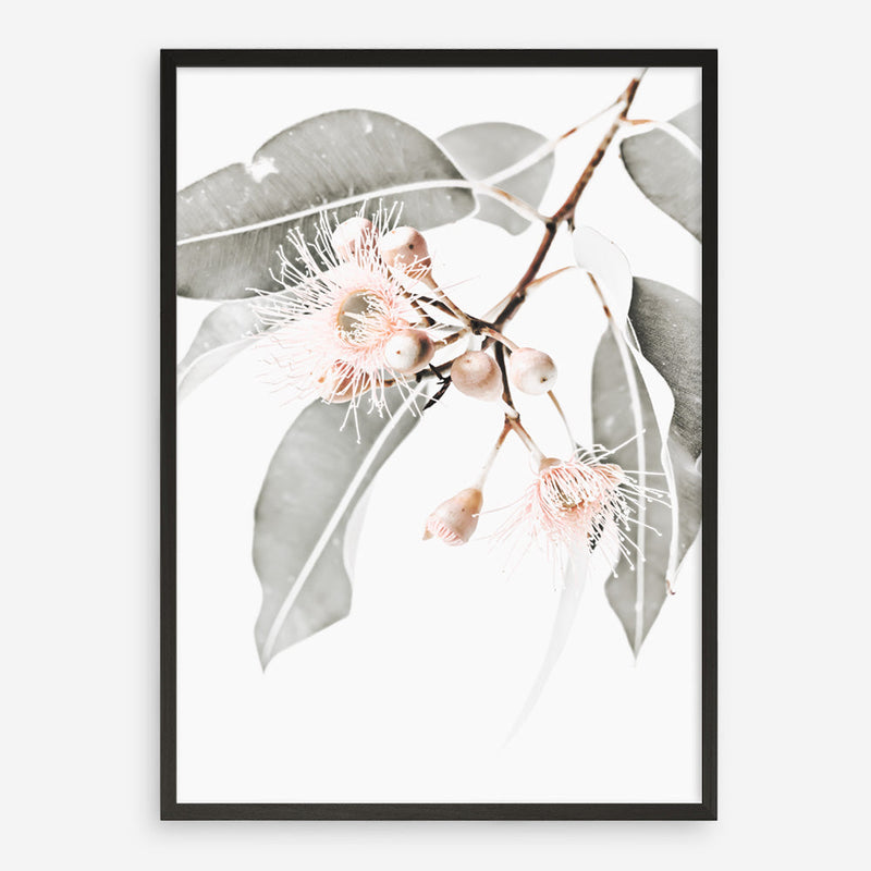 Shop Wildflowers II Photo Art Print a floral themed photography wall art print from The Print Emporium wall artwork collection - Buy Australian made fine art poster and framed prints for the home and your interior decor room, TPE-597-AP