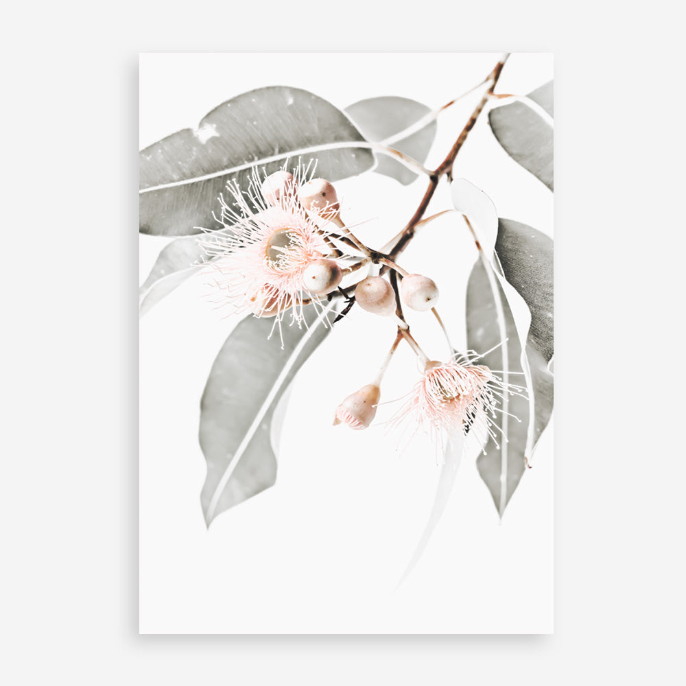 Shop Wildflowers II Photo Art Print a floral themed photography wall art print from The Print Emporium wall artwork collection - Buy Australian made fine art poster and framed prints for the home and your interior decor room, TPE-597-AP