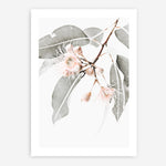 Shop Wildflowers II Photo Art Print a floral themed photography wall art print from The Print Emporium wall artwork collection - Buy Australian made fine art poster and framed prints for the home and your interior decor room, TPE-597-AP