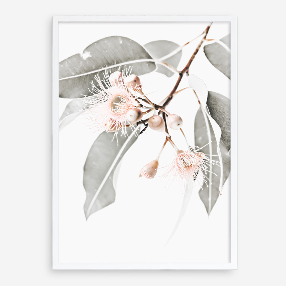 Shop Wildflowers II Photo Art Print a floral themed photography wall art print from The Print Emporium wall artwork collection - Buy Australian made fine art poster and framed prints for the home and your interior decor room, TPE-597-AP