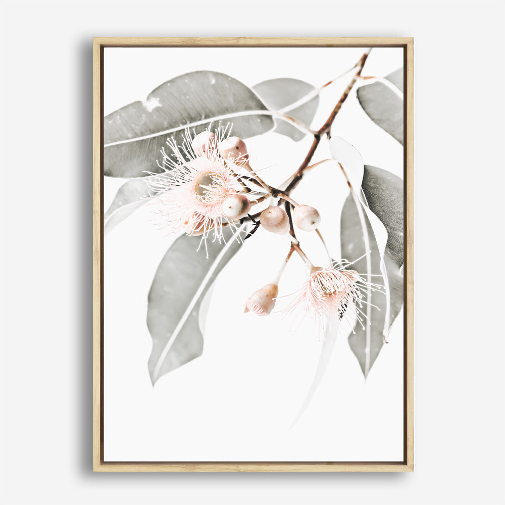 Shop Wildflowers II Photo Canvas Print a floral themed photography framed stretched canvas print from The Print Emporium wall artwork collection - Buy Australian made prints for the home and your interior decor space, TPE-597-CA-35X46-NF