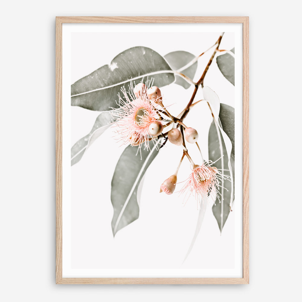Shop Wildflowers Photo Art Print a floral themed photography wall art print from The Print Emporium wall artwork collection - Buy Australian made fine art poster and framed prints for the home and your interior decor room, TPE-540-AP