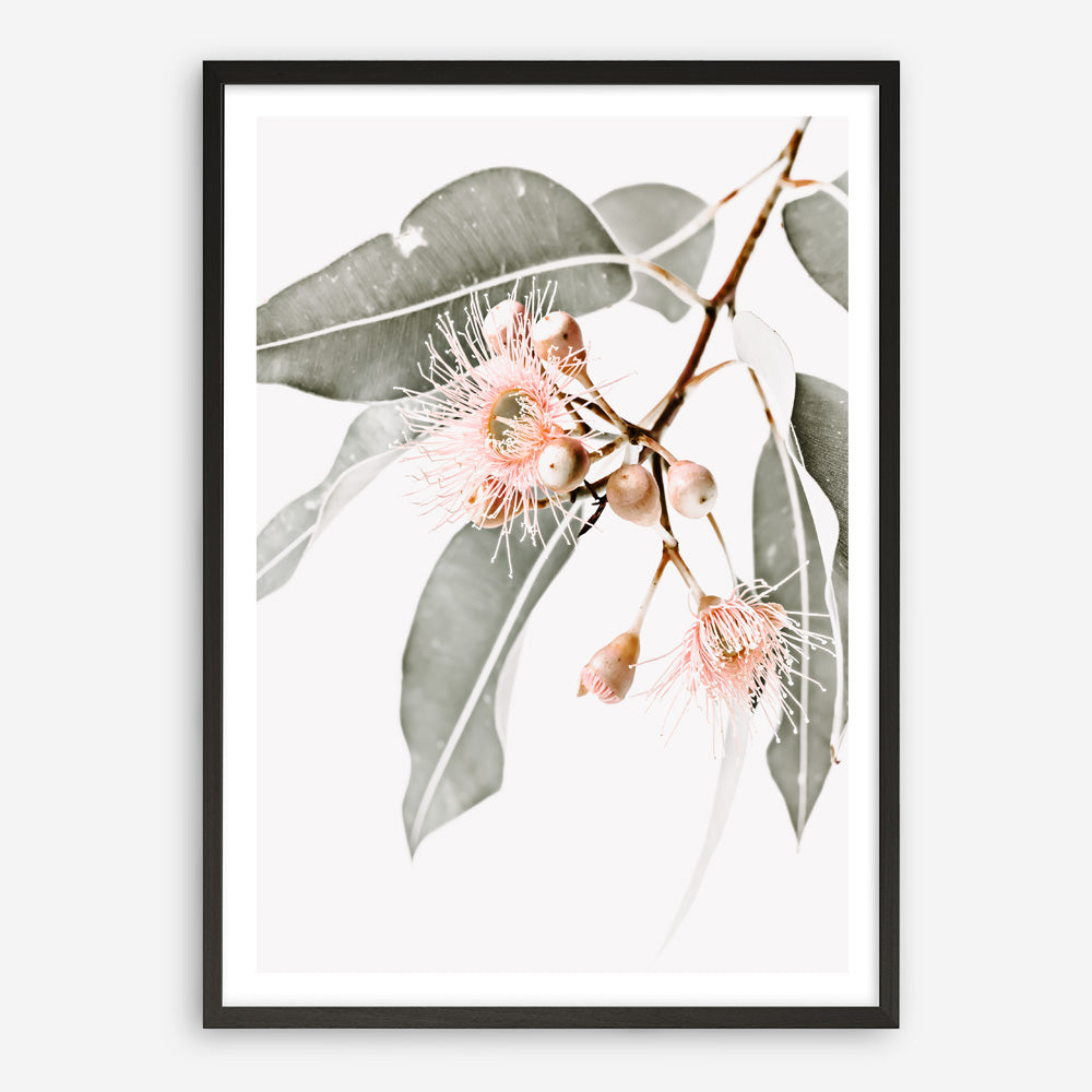 Shop Wildflowers Photo Art Print a floral themed photography wall art print from The Print Emporium wall artwork collection - Buy Australian made fine art poster and framed prints for the home and your interior decor room, TPE-540-AP