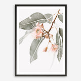 Shop Wildflowers Photo Art Print a floral themed photography wall art print from The Print Emporium wall artwork collection - Buy Australian made fine art poster and framed prints for the home and your interior decor room, TPE-540-AP