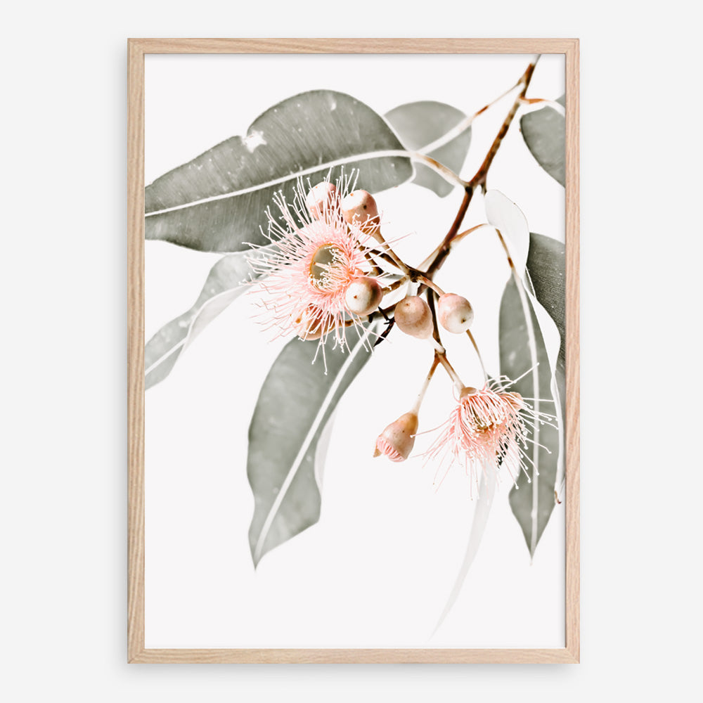 Shop Wildflowers Photo Art Print a floral themed photography wall art print from The Print Emporium wall artwork collection - Buy Australian made fine art poster and framed prints for the home and your interior decor room, TPE-540-AP
