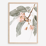 Shop Wildflowers Photo Art Print a floral themed photography wall art print from The Print Emporium wall artwork collection - Buy Australian made fine art poster and framed prints for the home and your interior decor room, TPE-540-AP