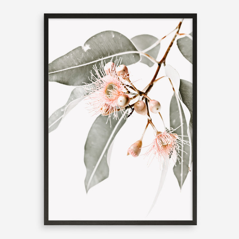 Shop Wildflowers Photo Art Print a floral themed photography wall art print from The Print Emporium wall artwork collection - Buy Australian made fine art poster and framed prints for the home and your interior decor room, TPE-540-AP