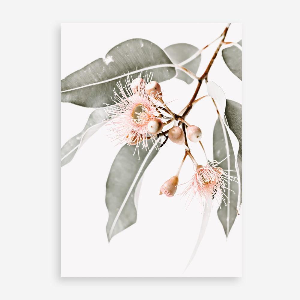 Shop Wildflowers Photo Art Print a floral themed photography wall art print from The Print Emporium wall artwork collection - Buy Australian made fine art poster and framed prints for the home and your interior decor room, TPE-540-AP