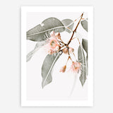 Shop Wildflowers Photo Art Print a floral themed photography wall art print from The Print Emporium wall artwork collection - Buy Australian made fine art poster and framed prints for the home and your interior decor room, TPE-540-AP