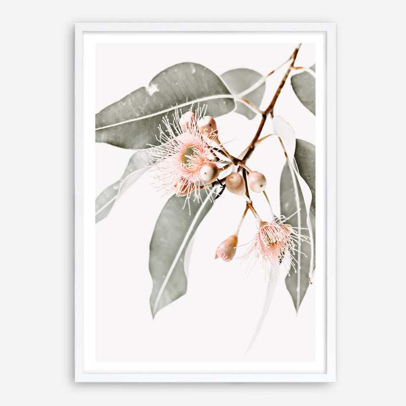 Shop Wildflowers Photo Art Print a floral themed photography wall art print from The Print Emporium wall artwork collection - Buy Australian made fine art poster and framed prints for the home and your interior decor room, TPE-540-AP