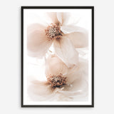 Shop Winter Blooms I Photo Art Print a floral themed photography wall art print from The Print Emporium wall artwork collection - Buy Australian made fine art poster and framed prints for the home and your interior decor room, TPE-1138-AP