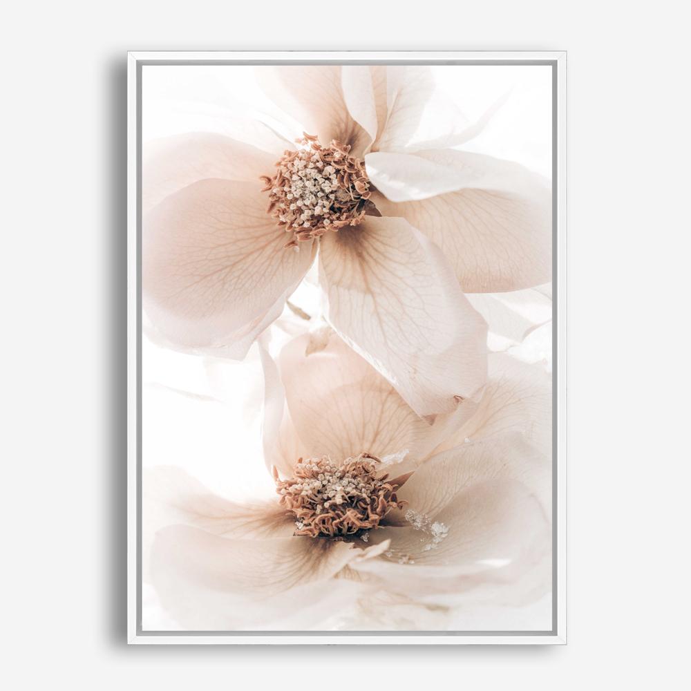 Shop Winter Blooms I Photo Canvas Print a floral themed photography framed stretched canvas print from The Print Emporium wall artwork collection - Buy Australian made prints for the home and your interior decor space, TPE-1138-CA-35X46-NF