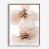 Shop Winter Blooms I Photo Canvas Print a floral themed photography framed stretched canvas print from The Print Emporium wall artwork collection - Buy Australian made prints for the home and your interior decor space, TPE-1138-CA-35X46-NF