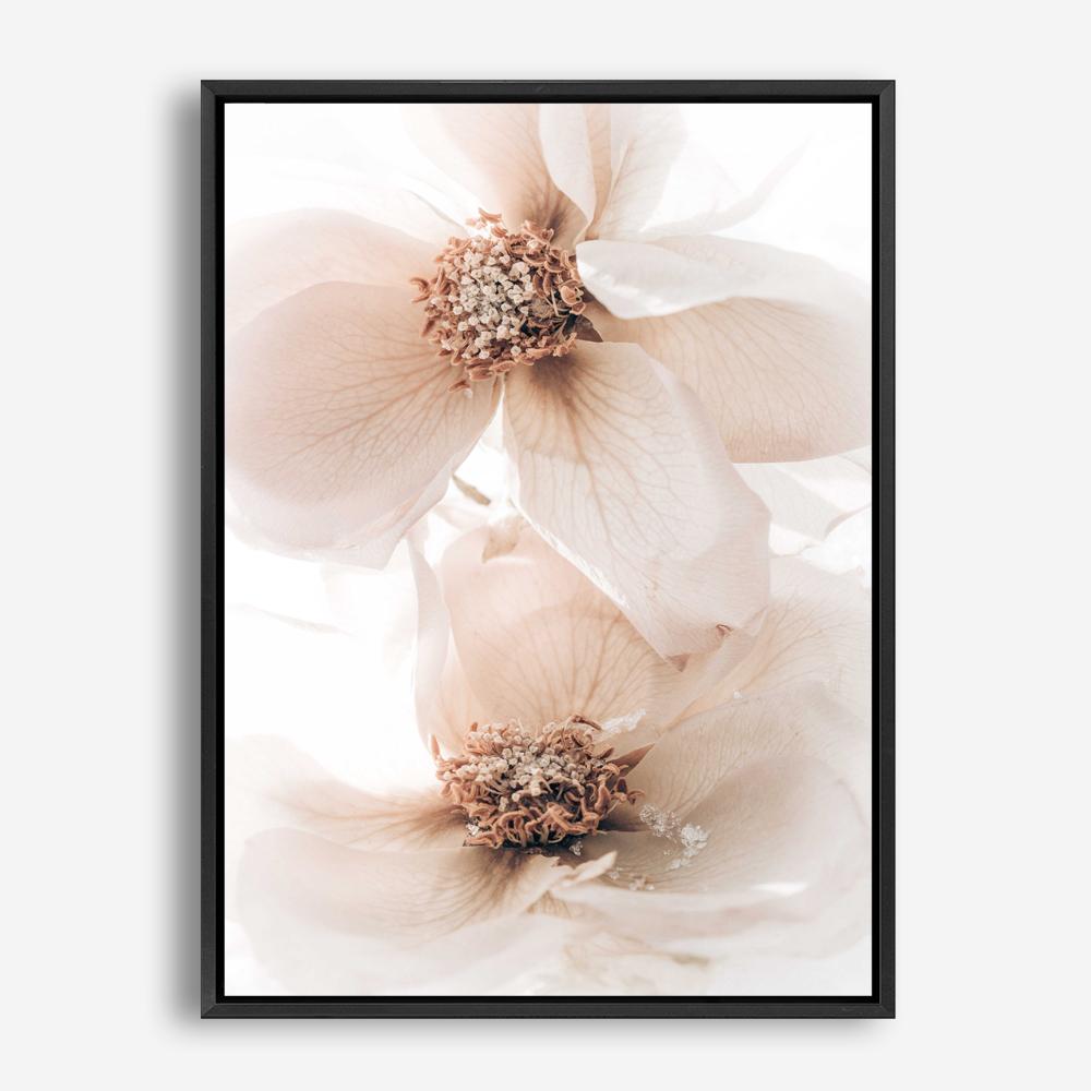 Shop Winter Blooms I Photo Canvas Print a floral themed photography framed stretched canvas print from The Print Emporium wall artwork collection - Buy Australian made prints for the home and your interior decor space, TPE-1138-CA-35X46-NF