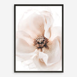 Shop Winter Blooms II Photo Art Print a floral themed photography wall art print from The Print Emporium wall artwork collection - Buy Australian made fine art poster and framed prints for the home and your interior decor room, TPE-1139-AP