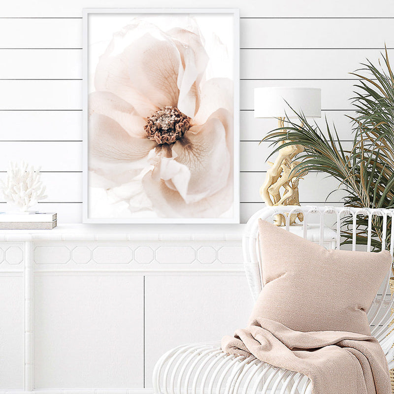 Shop Winter Blooms II Photo Art Print a floral themed photography wall art print from The Print Emporium wall artwork collection - Buy Australian made fine art poster and framed prints for the home and your interior decor room, TPE-1139-AP