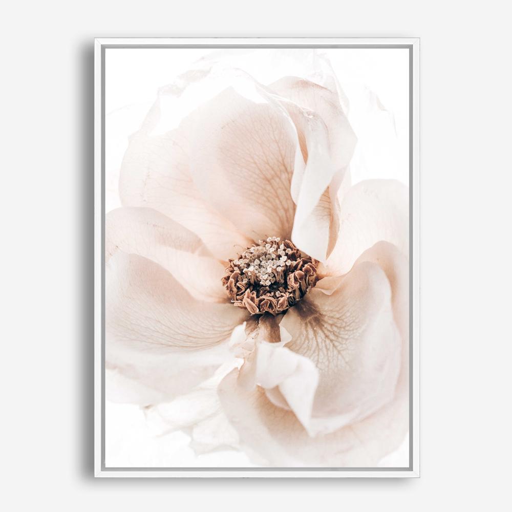 Shop Winter Blooms II Photo Canvas Print a floral themed photography framed stretched canvas print from The Print Emporium wall artwork collection - Buy Australian made prints for the home and your interior decor space, TPE-1139-CA-35X46-NF