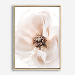 Shop Winter Blooms II Photo Canvas Print a floral themed photography framed stretched canvas print from The Print Emporium wall artwork collection - Buy Australian made prints for the home and your interior decor space, TPE-1139-CA-35X46-NF