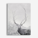 Shop Winter Elk Canvas Print a Hamptons style themed painted framed canvas wall art print from The Print Emporium artwork collection - Buy Australian made fine art painting style stretched canvas prints for the home and your interior decor space, TPE-189-CA-35X46-NF