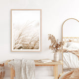 Shop Winter Pampas Reeds Photo Art Print a coastal themed photography wall art print from The Print Emporium wall artwork collection - Buy Australian made fine art poster and framed prints for the home and your interior decor, TPE-1135-AP