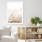 Shop Winter Pampas Reeds Photo Art Print a coastal themed photography wall art print from The Print Emporium wall artwork collection - Buy Australian made fine art poster and framed prints for the home and your interior decor, TPE-1135-AP